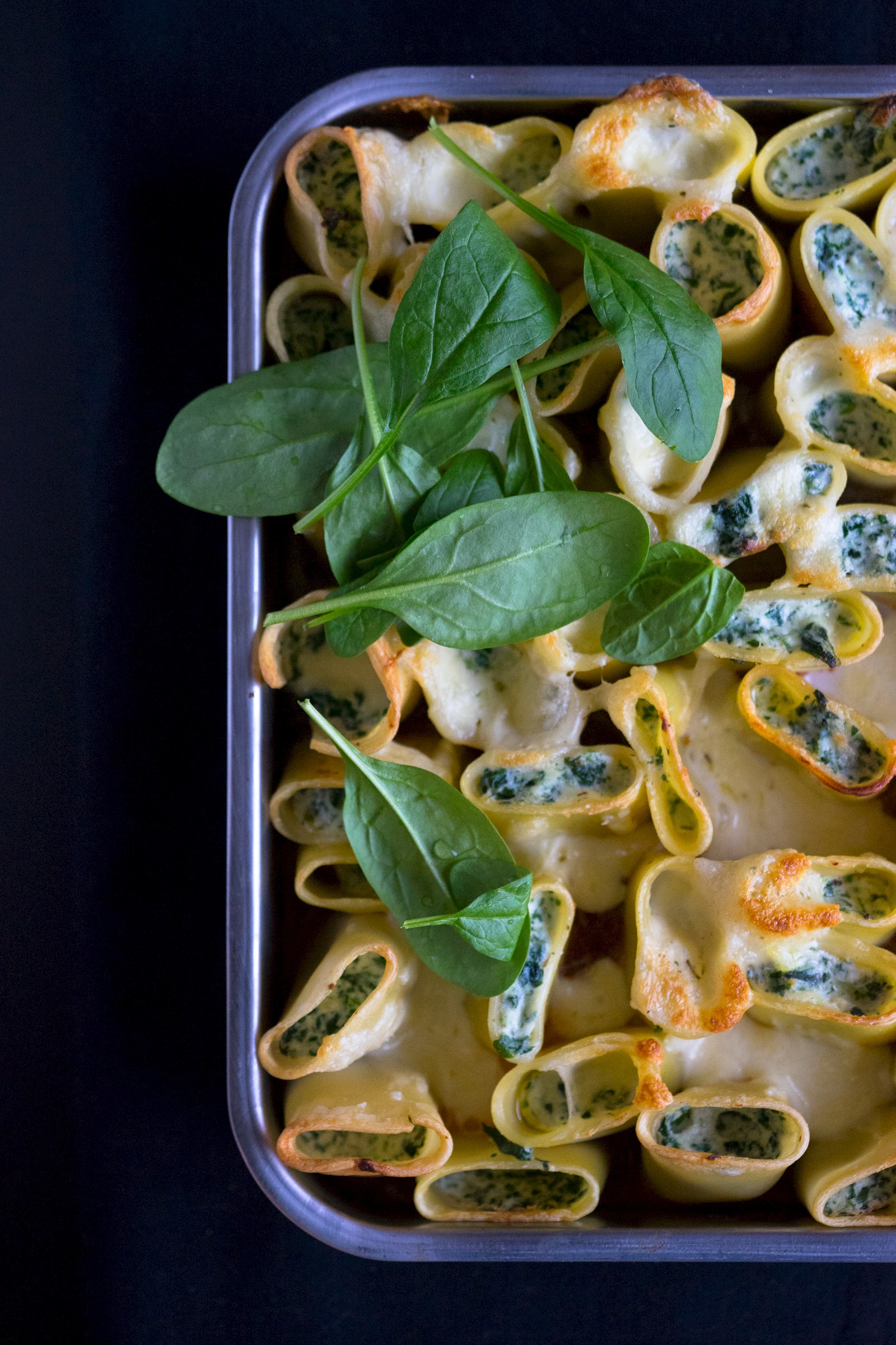 Spinach and ricotta cheese cannelloni