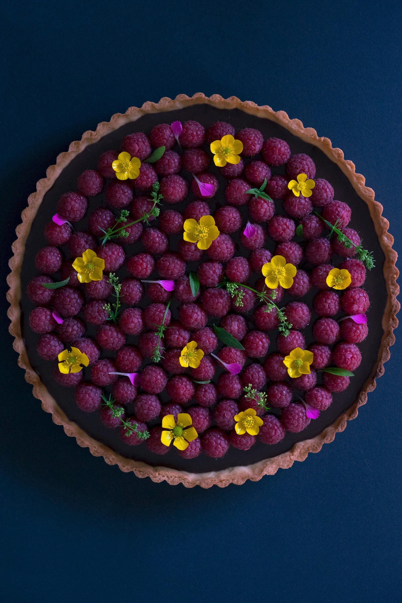 Chocolate tart with raspberries