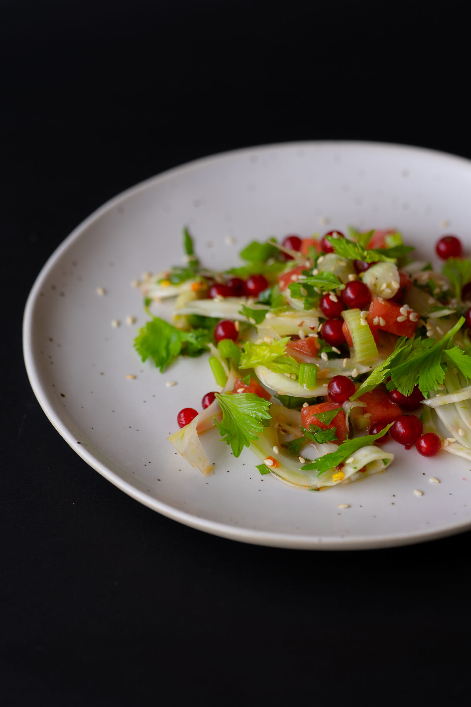 Fenchelsalat mit Wassermelone und Johannisbeeren
