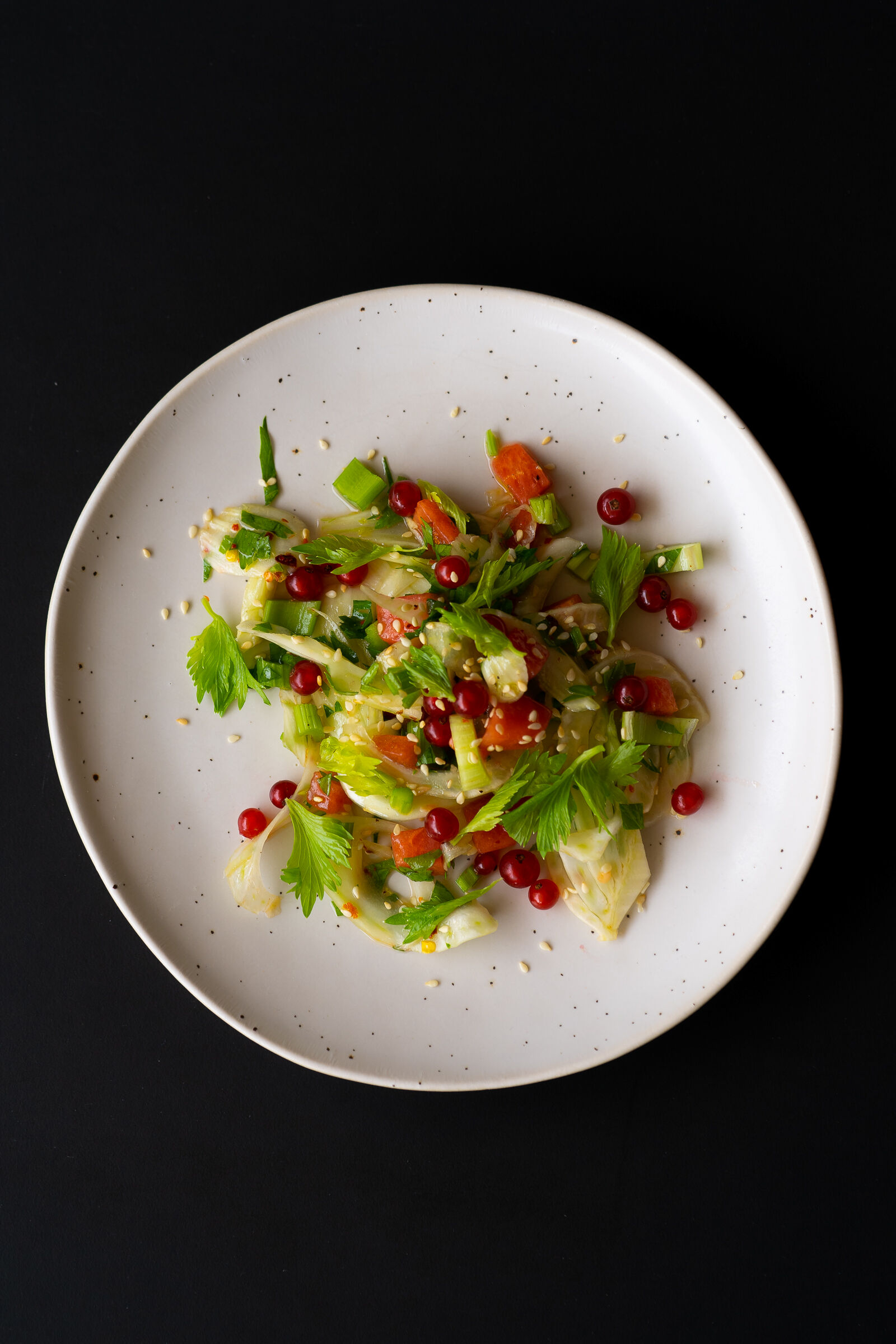 Fenchelsalat mit Wassermelone und Johannisbeeren