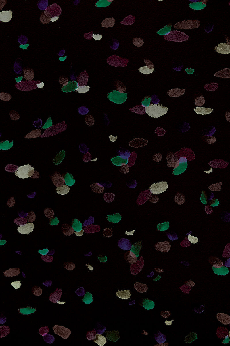 Mary Miso - Rezepte für jeden Tag - Kochbücher