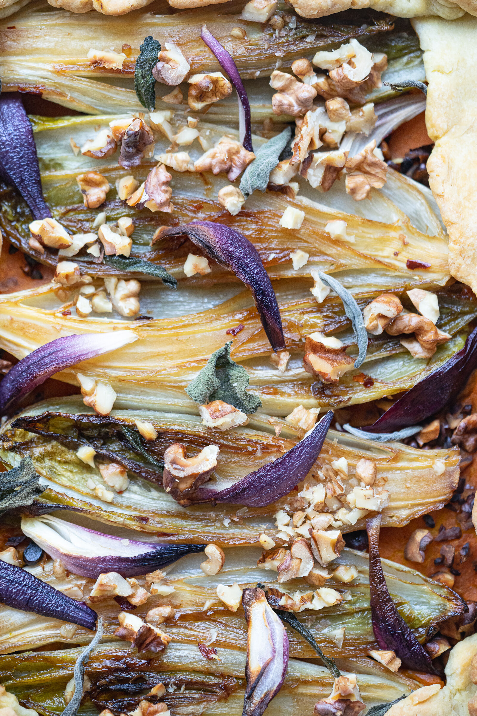 Chicory galette with pumpkin, sage and walnuts