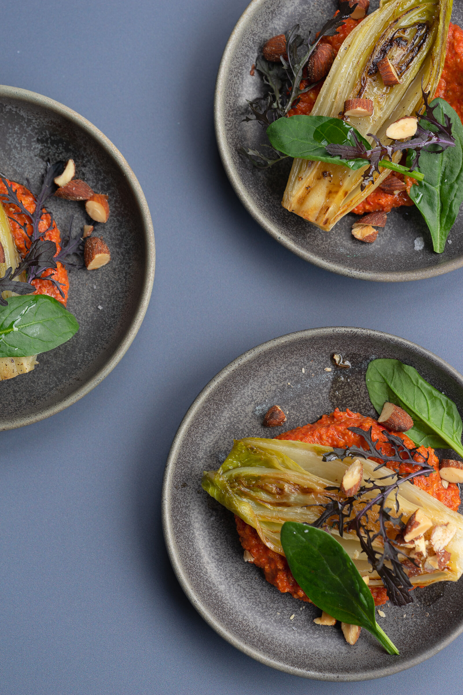 Gebratener Chicorée mit Romesco und Rauchmandeln